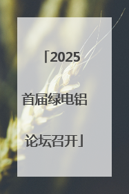 2025首届绿电铝论坛召开
