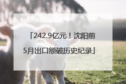 242.9亿元！沈阳前5月出口额破历史纪录
