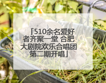 510余名爱好者齐聚一堂 合肥大剧院欢乐合唱团第二期开唱