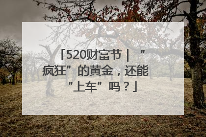 520财富节｜“疯狂”的黄金，还能“上车”吗？