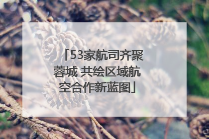 53家航司齐聚蓉城 共绘区域航空合作新蓝图