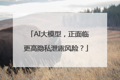 AI大模型，正面临更高隐私泄露风险？