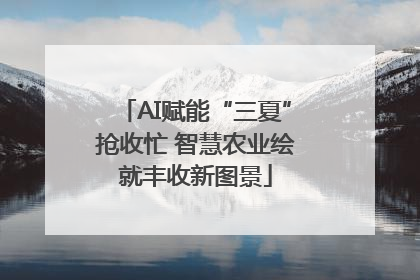 AI赋能“三夏”抢收忙 智慧农业绘就丰收新图景
