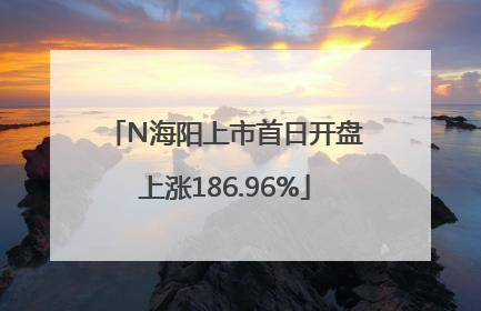 N海阳上市首日开盘上涨186.96%