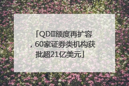 QDII额度再扩容，60家证券类机构获批超21亿美元