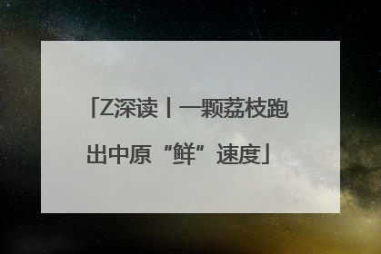 Z深读丨一颗荔枝跑出中原“鲜”速度